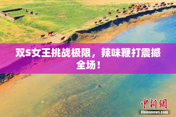 双S女王挑战极限，辣味鞭打震撼全场！