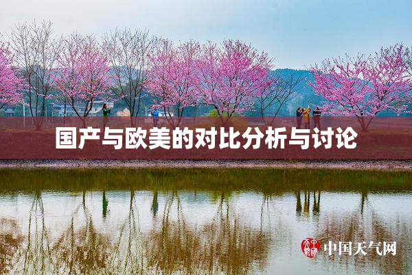 国产与欧美的对比分析与讨论
