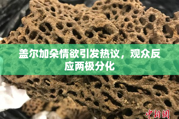 盖尔加朵情欲引发热议，观众反应两极分化