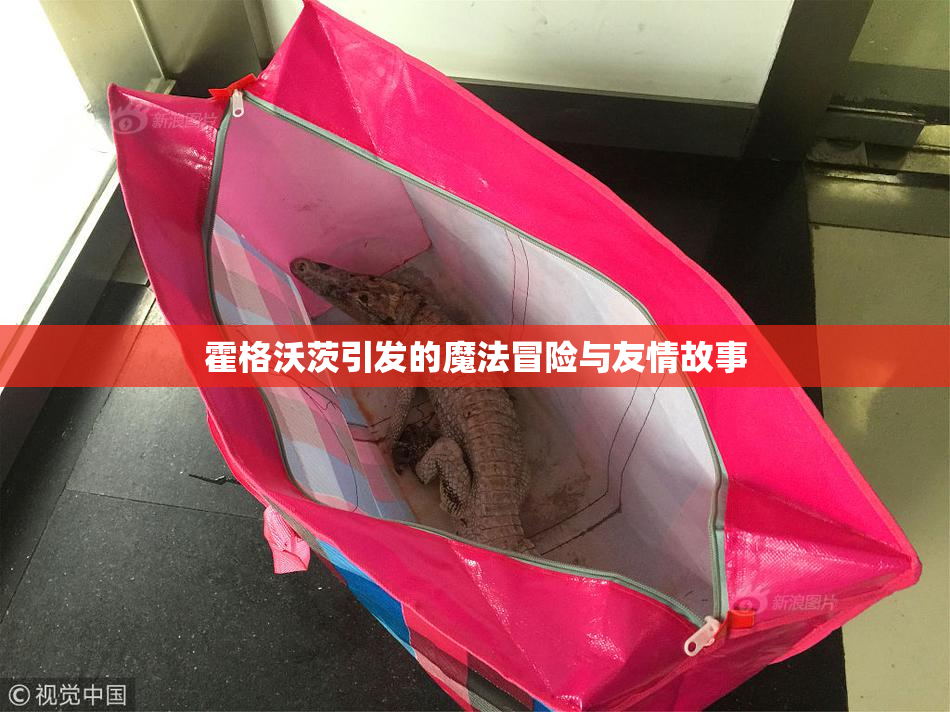 霍格沃茨引发的魔法冒险与友情故事