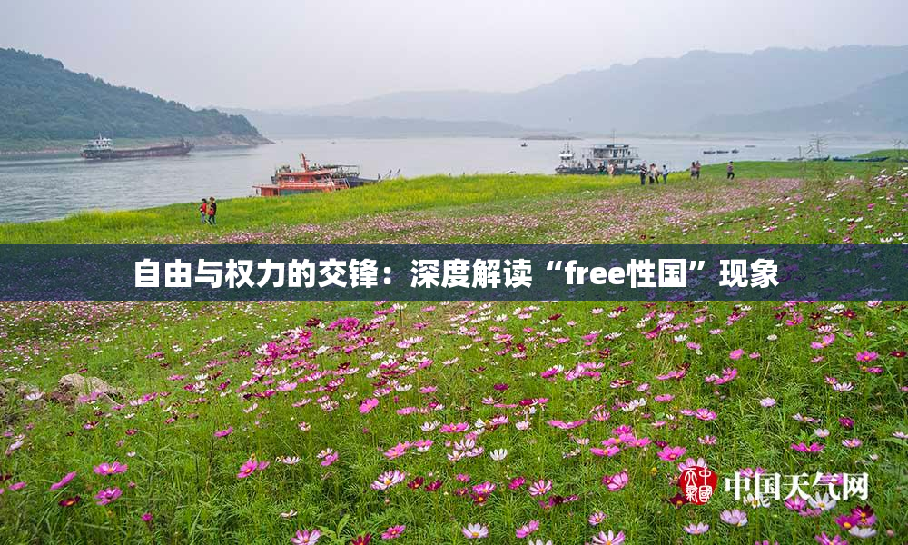 自由与权力的交锋：深度解读“free性国”现象