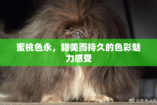 蜜桃色永，甜美而持久的色彩魅力感受
