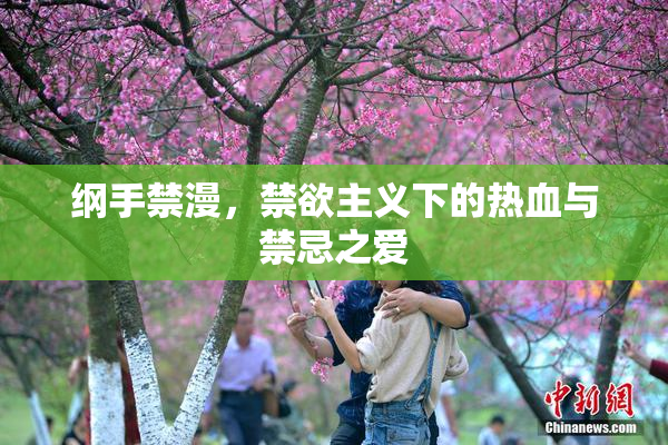 纲手禁漫，禁欲主义下的热血与禁忌之爱
