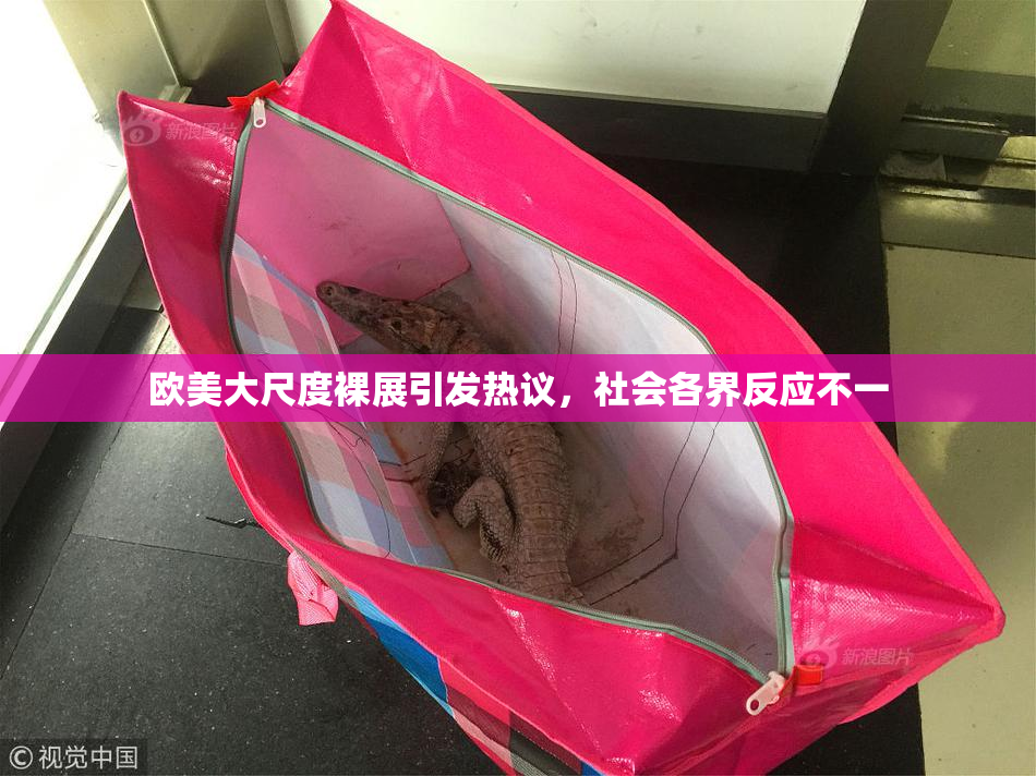 欧美大尺度裸展引发热议，社会各界反应不一
