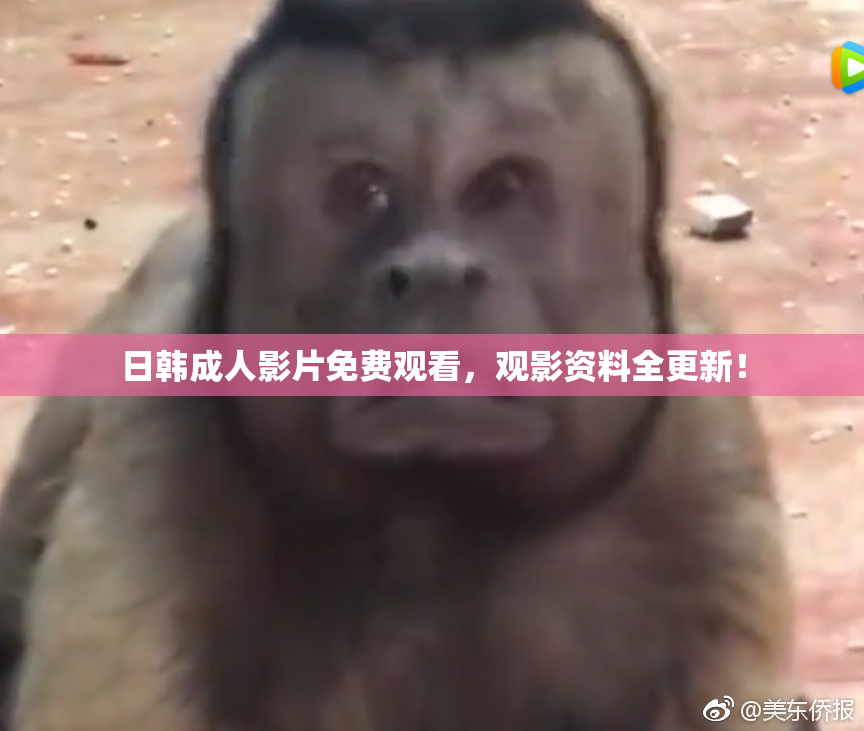 日韩成人影片免费观看，观影资料全更新！