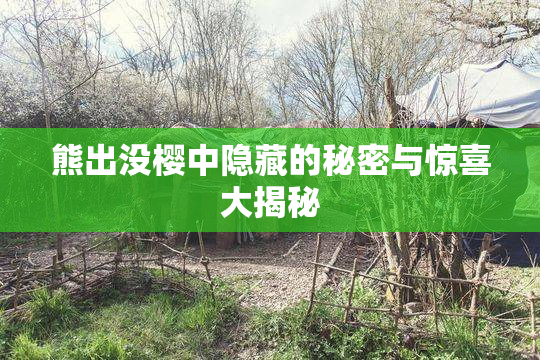 熊出没樱中隐藏的秘密与惊喜大揭秘