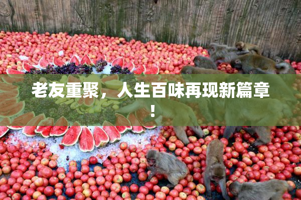 老友重聚，人生百味再现新篇章！