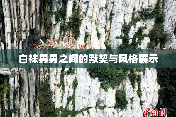 白袜男男之间的默契与风格展示