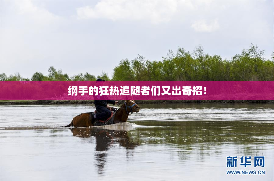 纲手的狂热追随者们又出奇招！