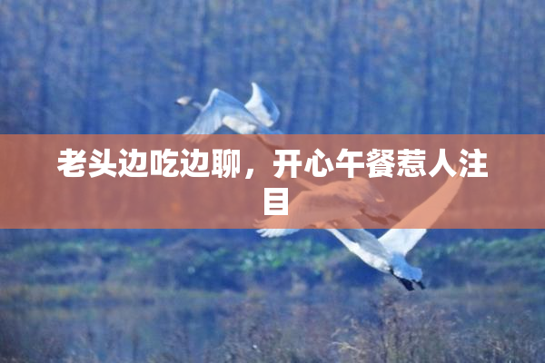 老头边吃边聊，开心午餐惹人注目