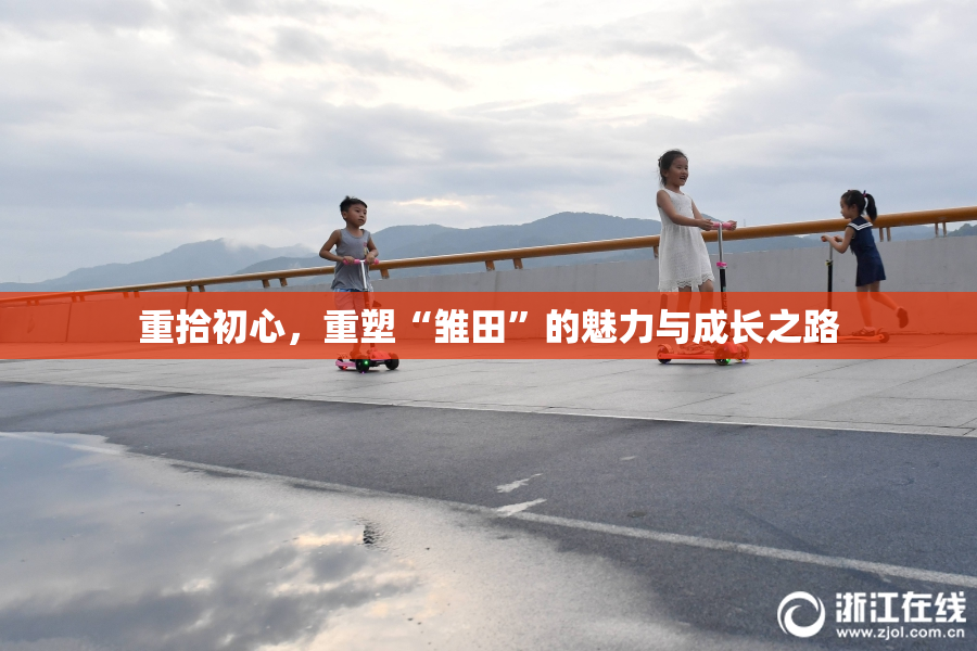 重拾初心，重塑“雏田”的魅力与成长之路