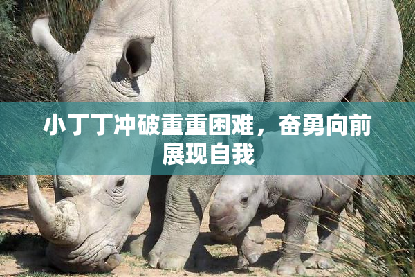 小丁丁冲破重重困难，奋勇向前展现自我
