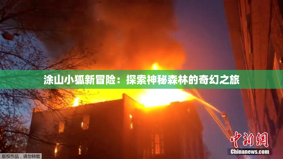 涂山小狐新冒险：探索神秘森林的奇幻之旅
