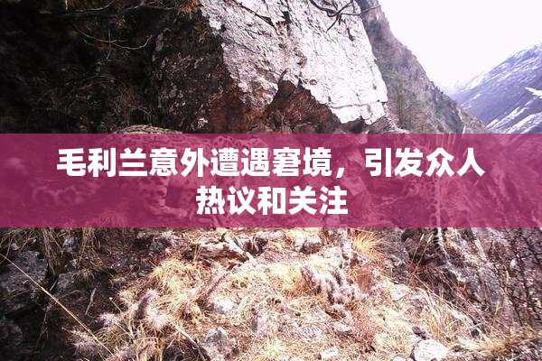 毛利兰意外遭遇窘境，引发众人热议和关注