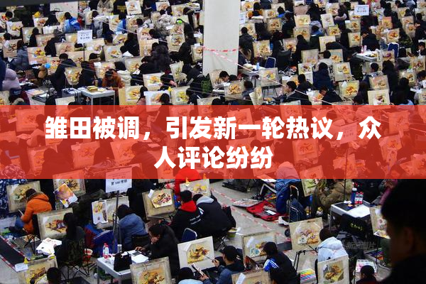 雏田被调，引发新一轮热议，众人评论纷纷