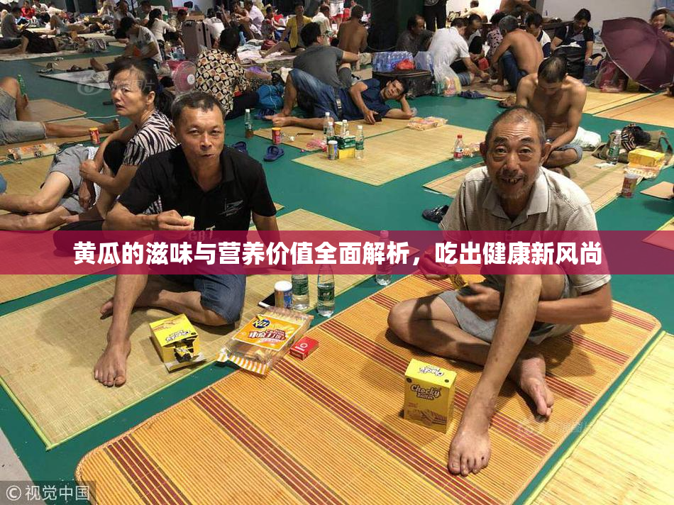 黄瓜的滋味与营养价值全面解析，吃出健康新风尚