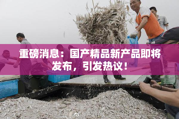 重磅消息：国产精品新产品即将发布，引发热议！