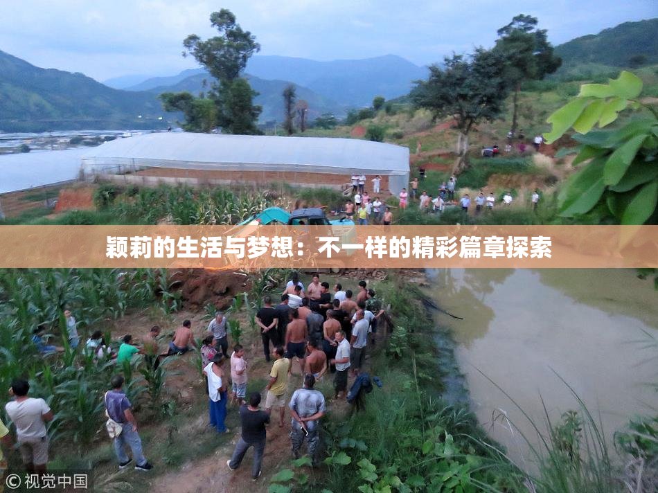 颖莉的生活与梦想：不一样的精彩篇章探索