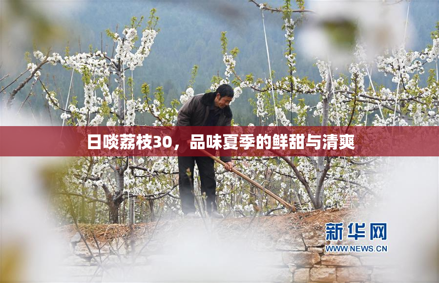 日啖荔枝30，品味夏季的鲜甜与清爽