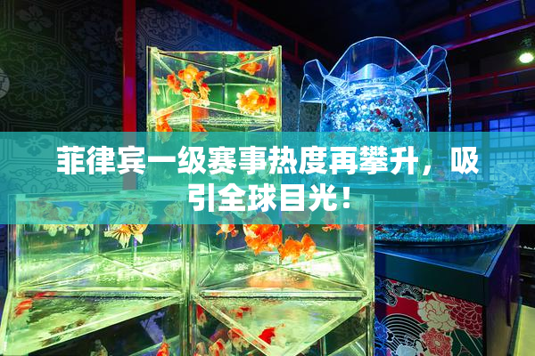 菲律宾一级赛事热度再攀升，吸引全球目光！