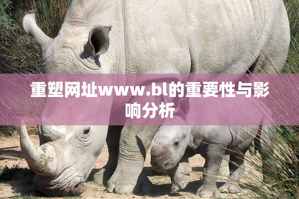 重塑网址www.bl的重要性与影响分析
