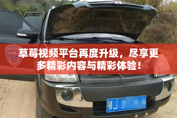 草莓视频平台再度升级，尽享更多精彩内容与精彩体验！