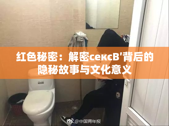 红色秘密：解密сексB′背后的隐秘故事与文化意义
