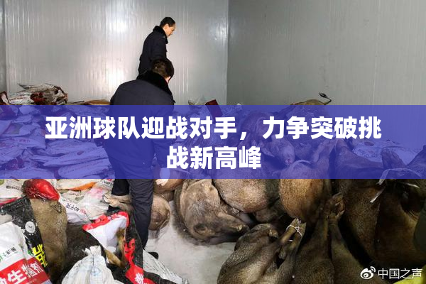 亚洲球队迎战对手，力争突破挑战新高峰