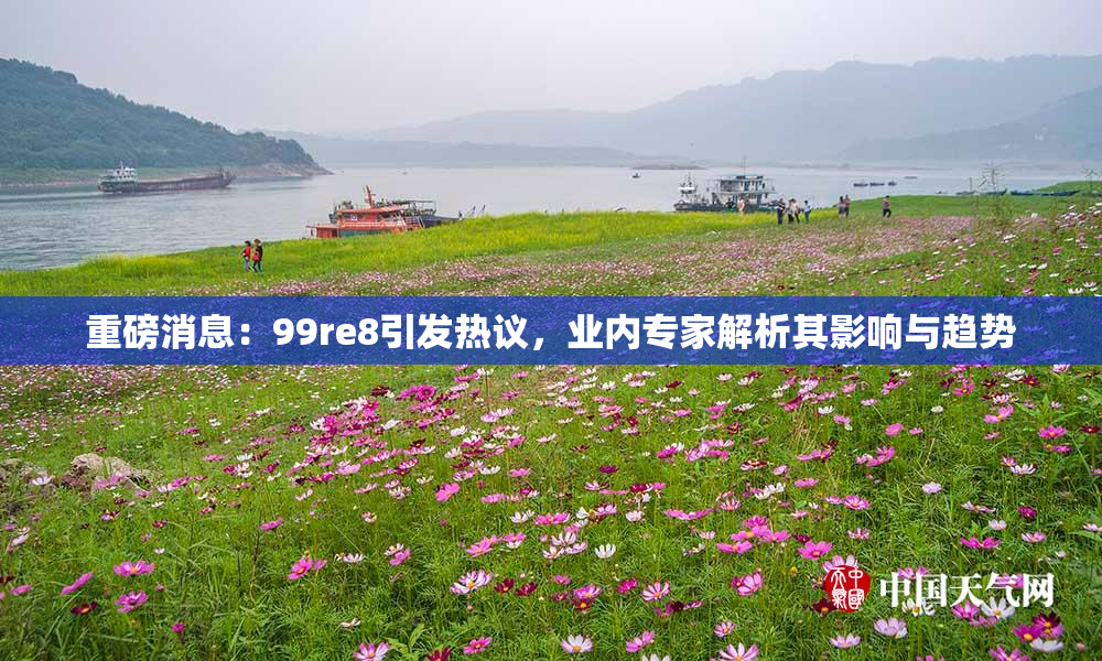 重磅消息：99re8引发热议，业内专家解析其影响与趋势