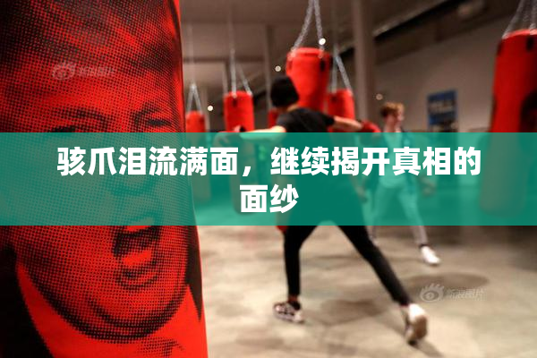 骇爪泪流满面，继续揭开真相的面纱
