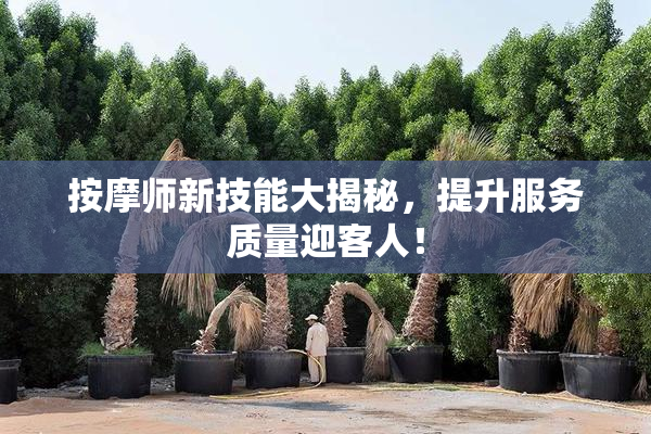 按摩师新技能大揭秘，提升服务质量迎客人！