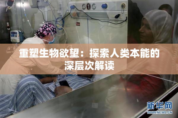 重塑生物欲望：探索人类本能的深层次解读