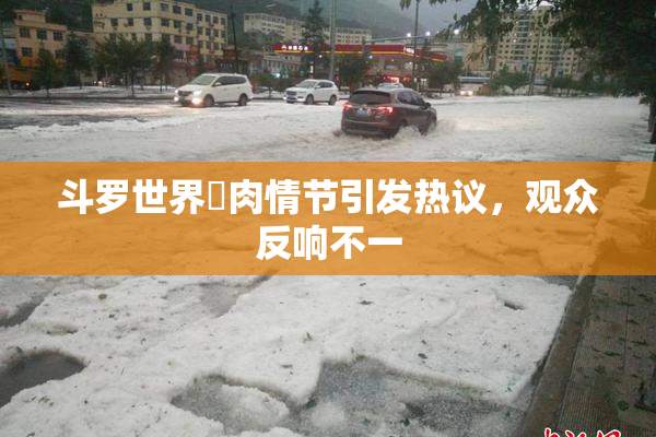 斗罗世界婬肉情节引发热议，观众反响不一