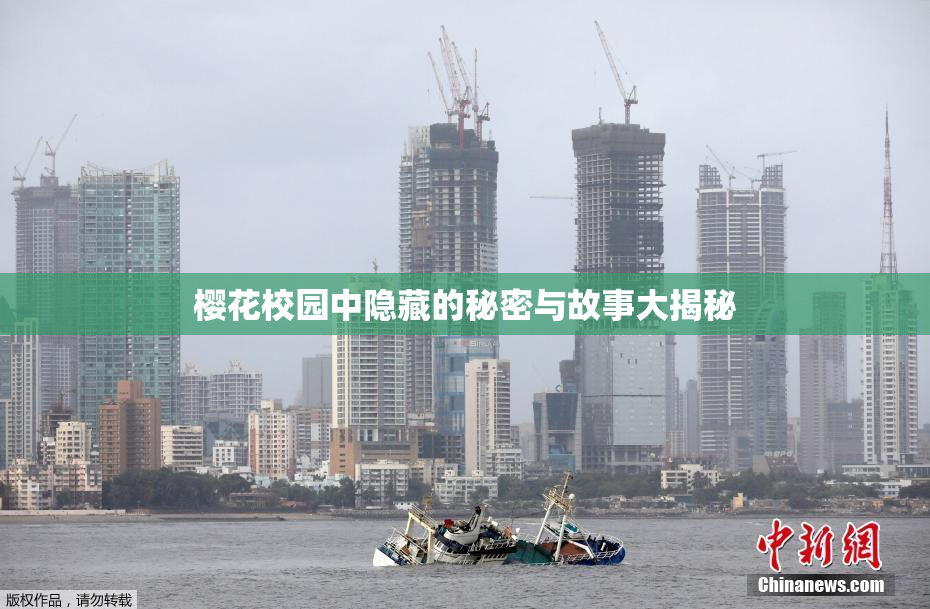 樱花校园中隐藏的秘密与故事大揭秘
