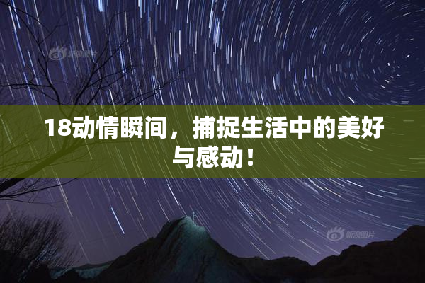 18动情瞬间，捕捉生活中的美好与感动！