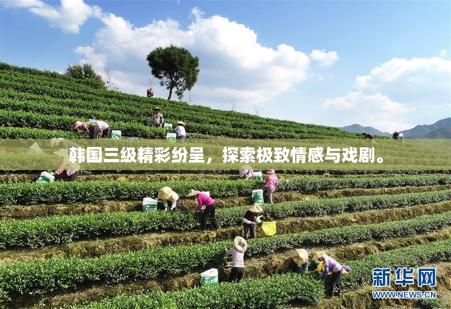 韩国三级精彩纷呈，探索极致情感与戏剧。