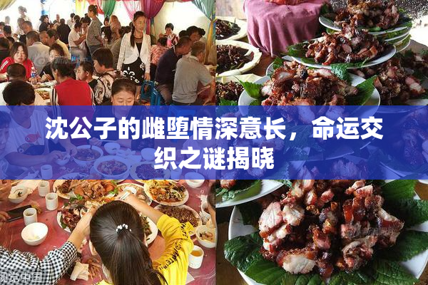 沈公子的雌堕情深意长，命运交织之谜揭晓