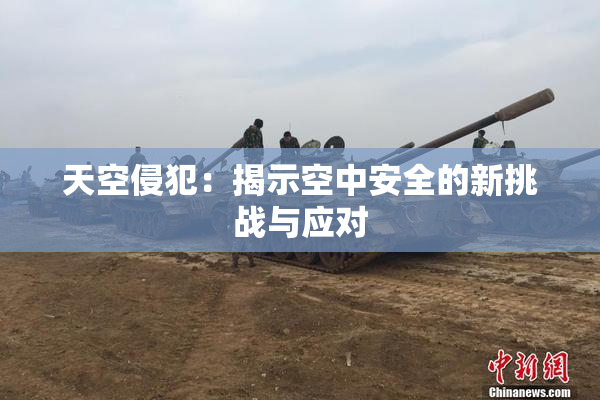 天空侵犯：揭示空中安全的新挑战与应对