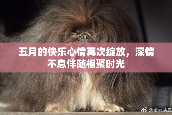 五月的快乐心情再次绽放，深情不息伴随相聚时光
