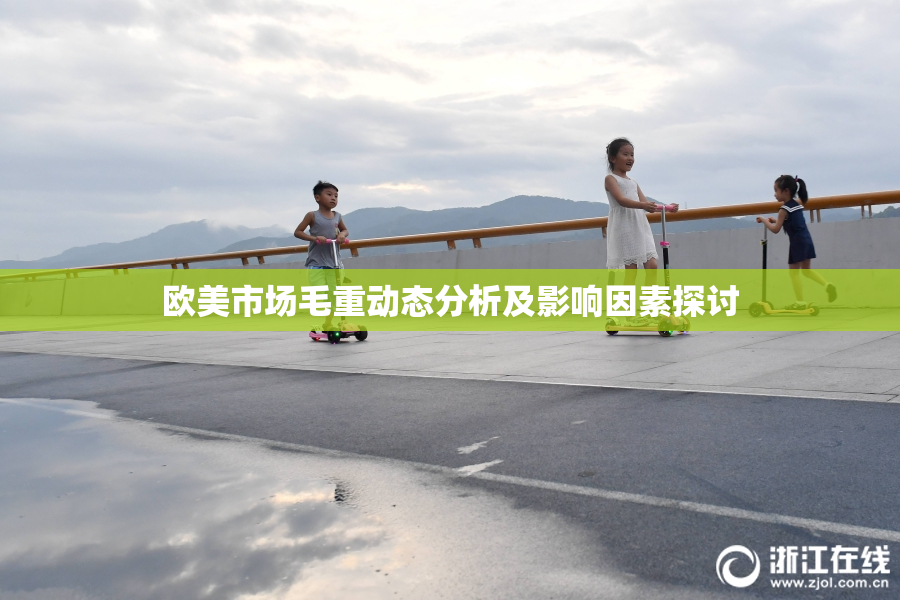 欧美市场毛重动态分析及影响因素探讨