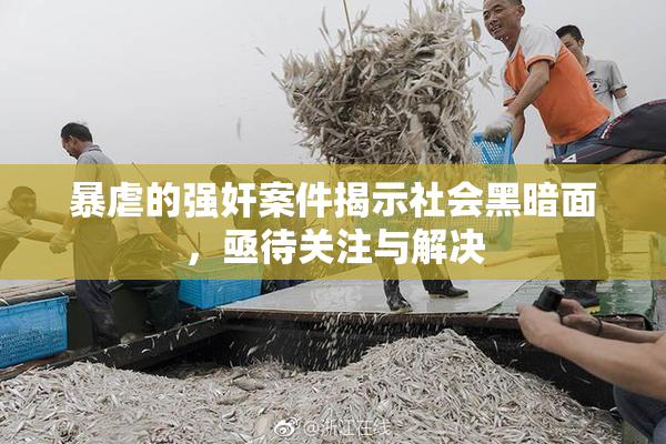 暴虐的强奸案件揭示社会黑暗面，亟待关注与解决