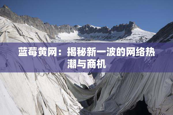 蓝莓黄网：揭秘新一波的网络热潮与商机
