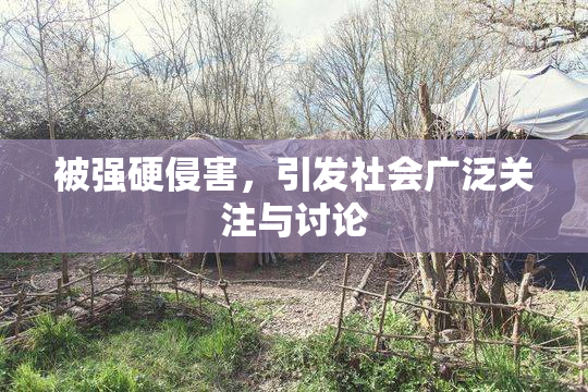 被强硬侵害，引发社会广泛关注与讨论