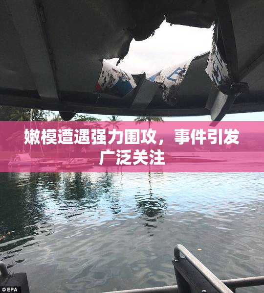 嫩模遭遇强力围攻，事件引发广泛关注