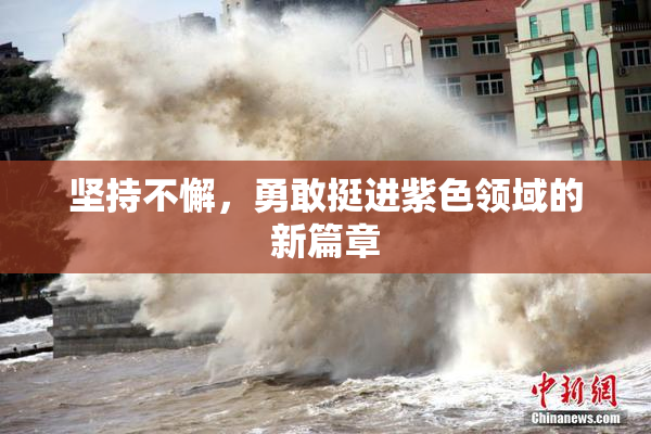 坚持不懈，勇敢挺进紫色领域的新篇章