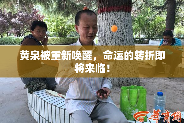 黄泉被重新唤醒，命运的转折即将来临！