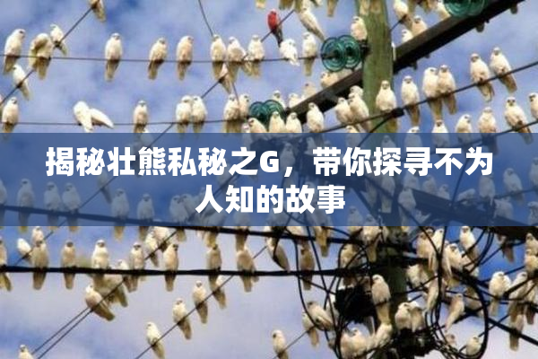 揭秘壮熊私秘之G，带你探寻不为人知的故事