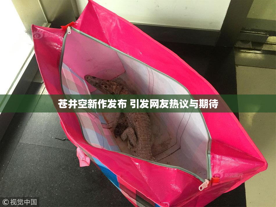 苍井空新作发布 引发网友热议与期待