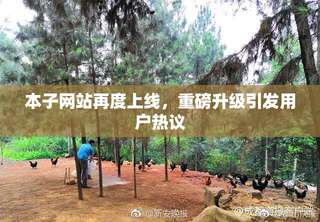 本子网站再度上线，重磅升级引发用户热议