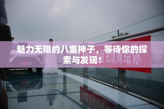 魅力无限的八重神子，等待你的探索与发现！